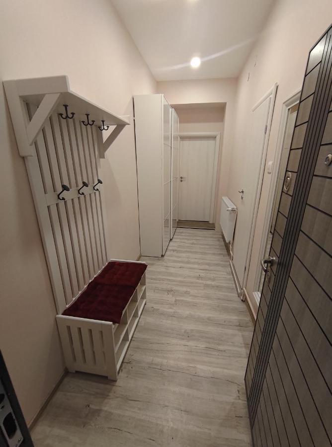 Lovely Apartment In The Heart Of The City Тимишоара Екстериор снимка